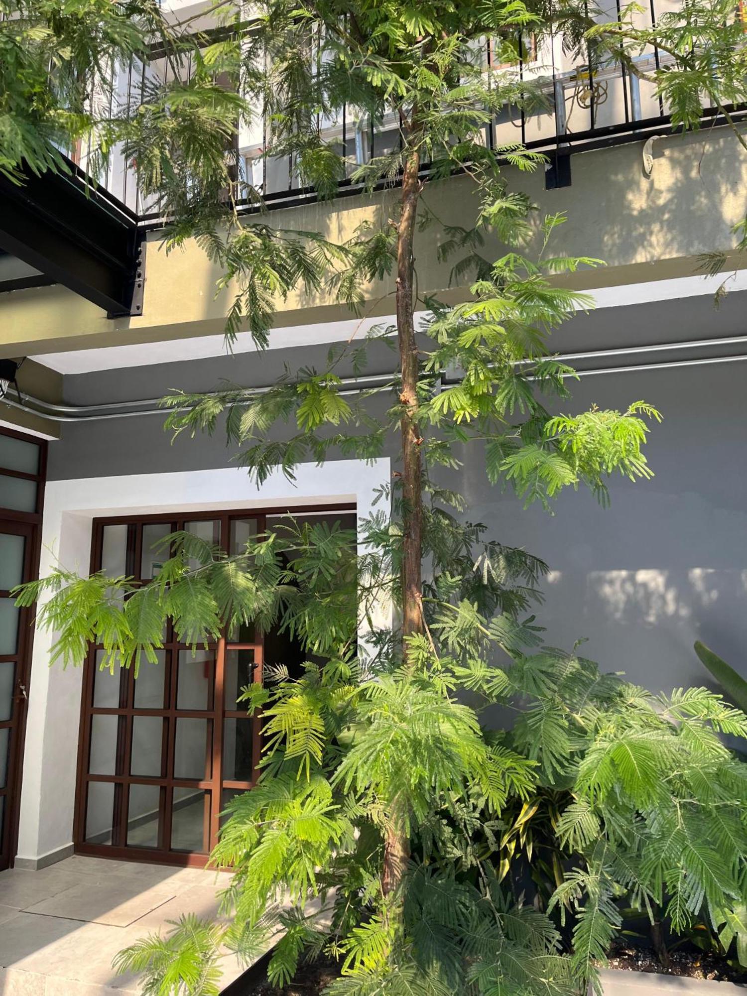Eonia Hotel Atlixco Bagian luar foto